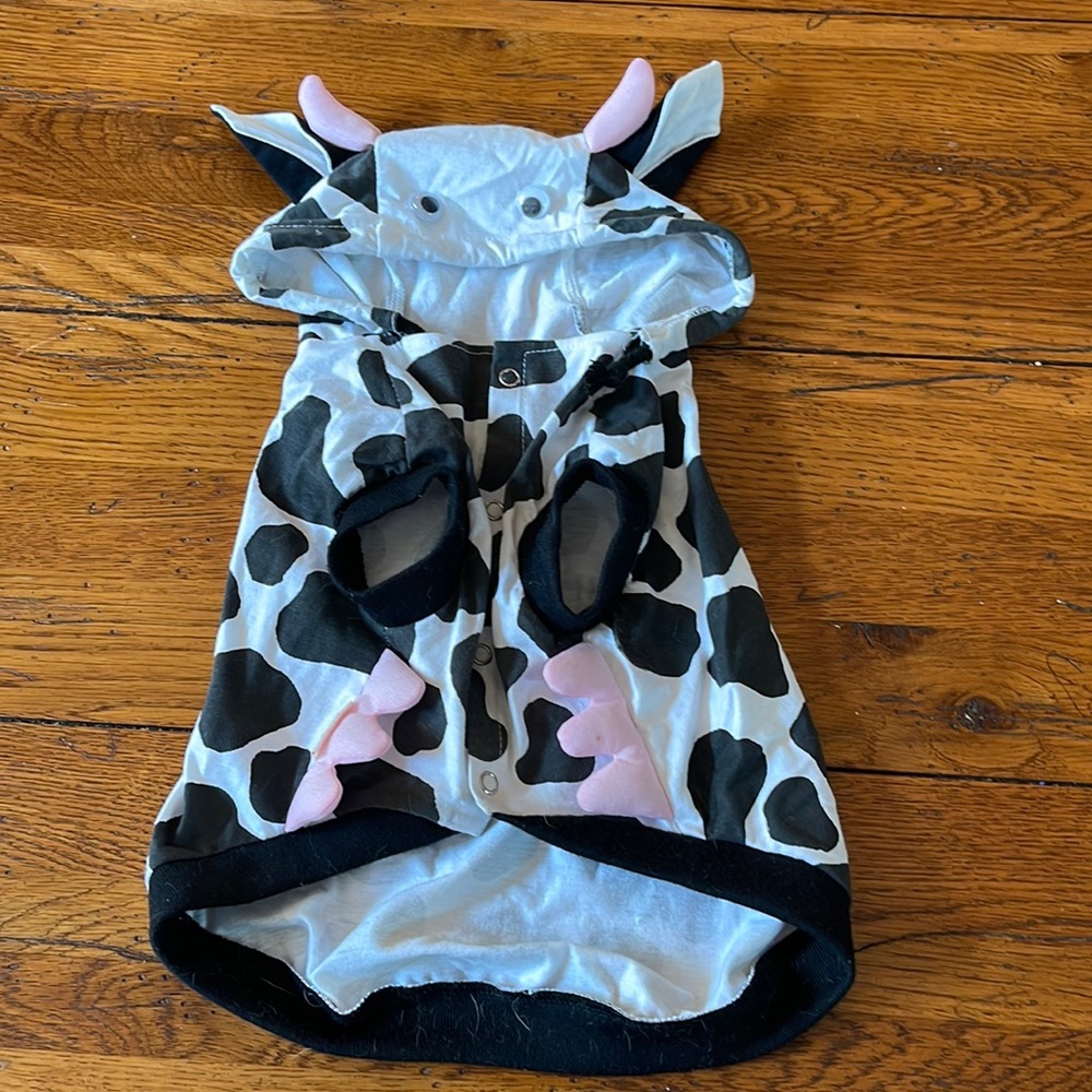 Cow dog sweater